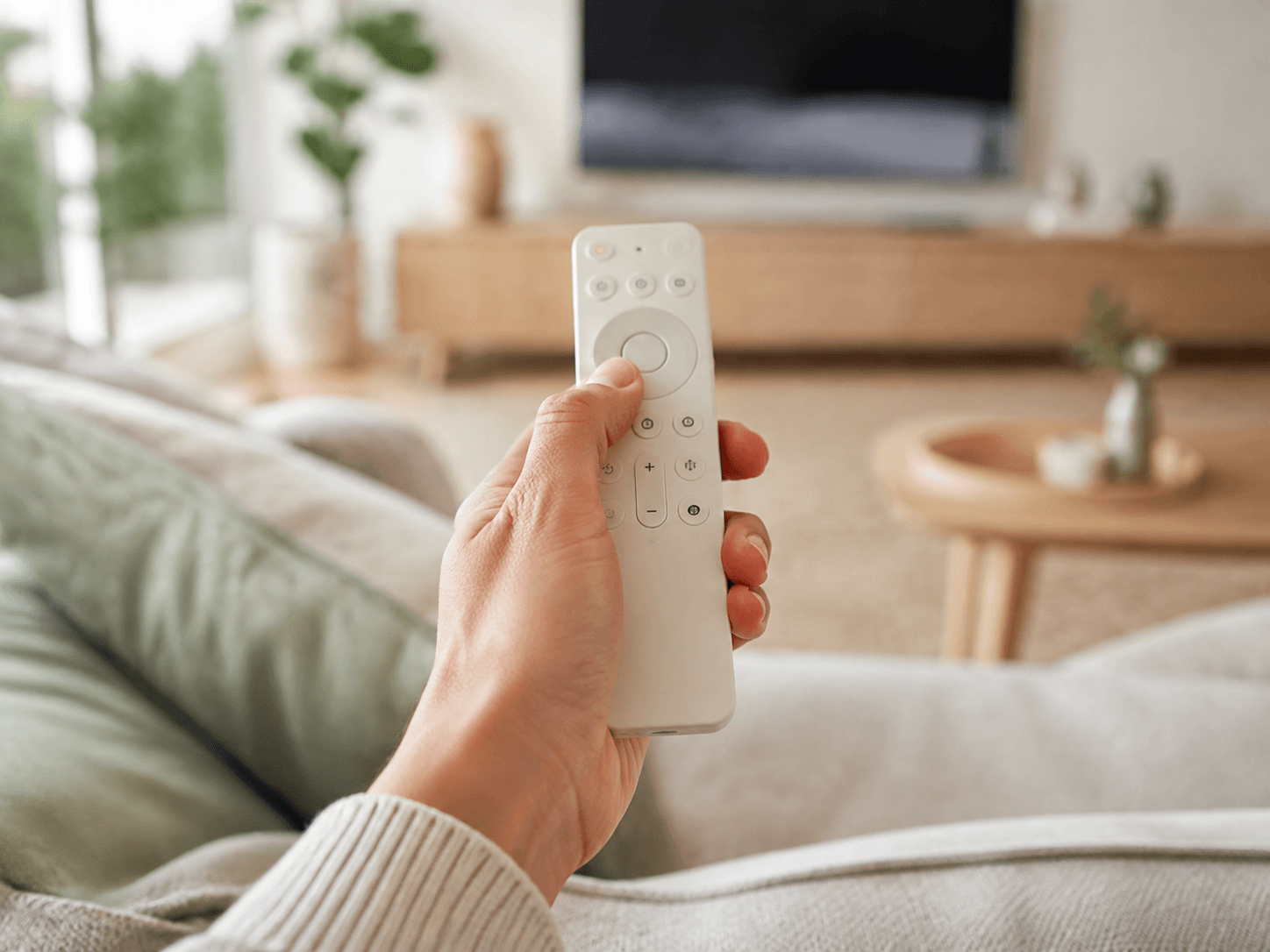 Batteries for remotes and household devices